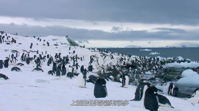 aoa体育体育app-瑞士力克保加利亚，欧预赛实力逐渐显露